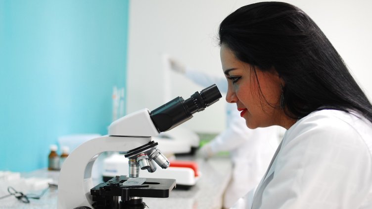 Снимка на fernando zhiminaicela от Pixabay