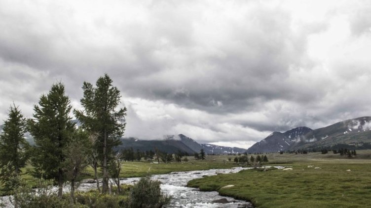 Снимка БГНЕС