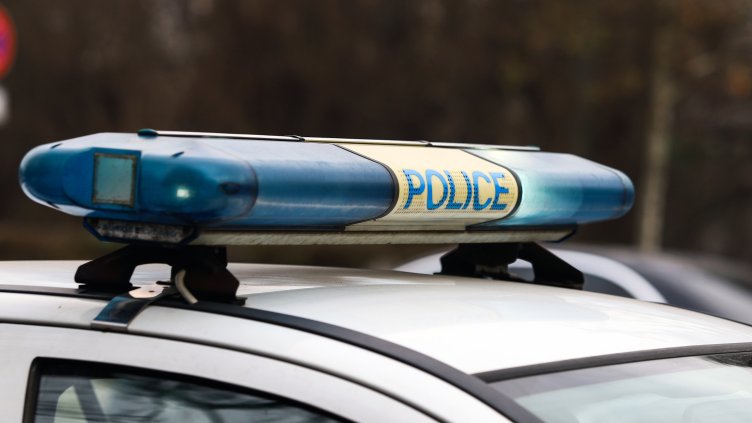 Снимка: архив, БГНЕС