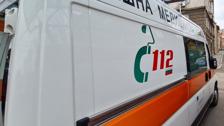 Снимка: архив, БГНЕС