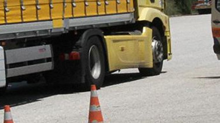 Снимка: БГНЕС, архив