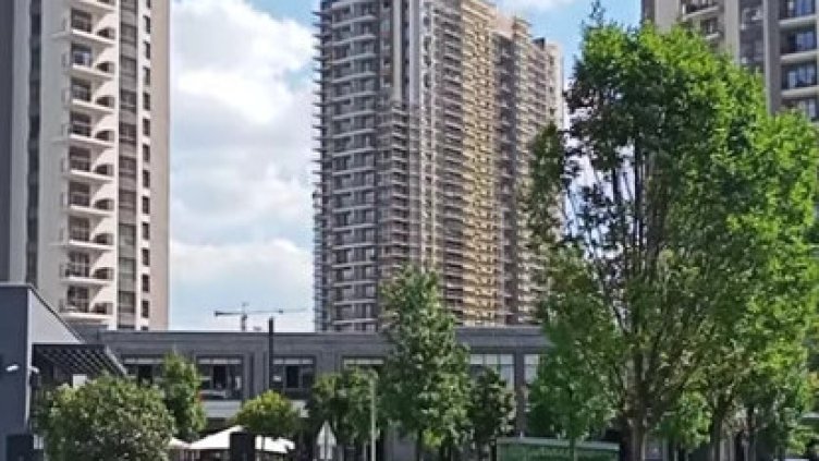 Снимка: архив, БГНЕС