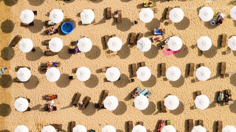 Снимка: архив, БГНЕС