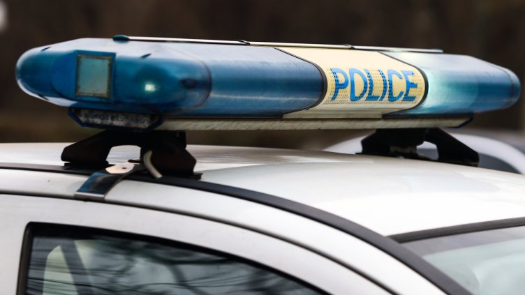 Снимка: архив, БГНЕС