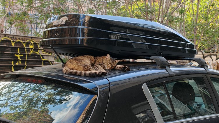 Снимка: архив, БГНЕС