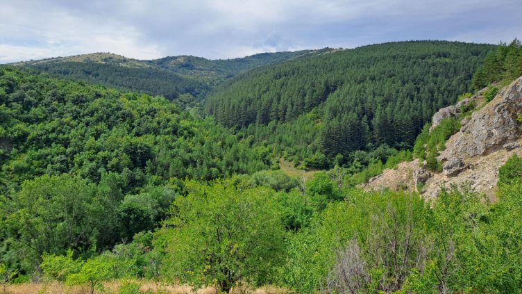 Снимка: архив, БГНЕС