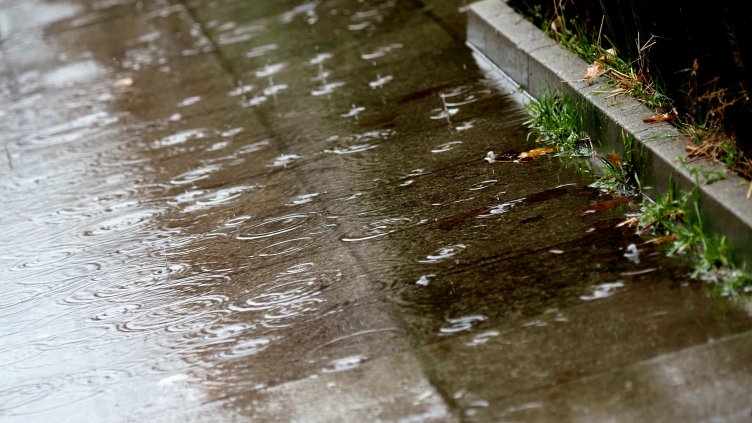 Снимка: архив, БГНЕС