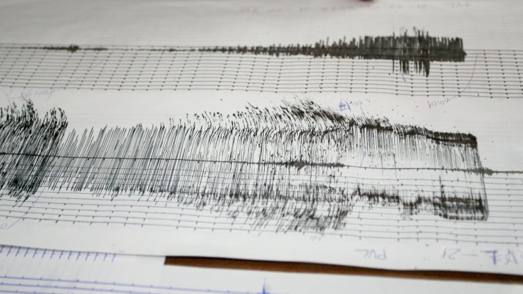 Снимка: архив, БГНЕС
