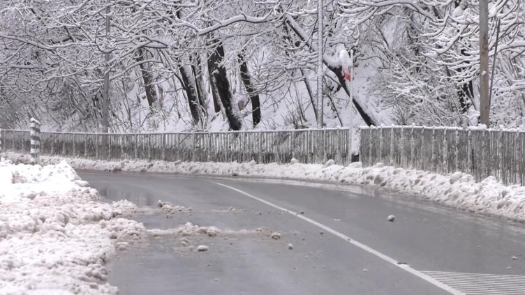 Снимка: архив, БГНЕС