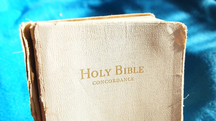 Снимка: Pixabay/ FotoRieth