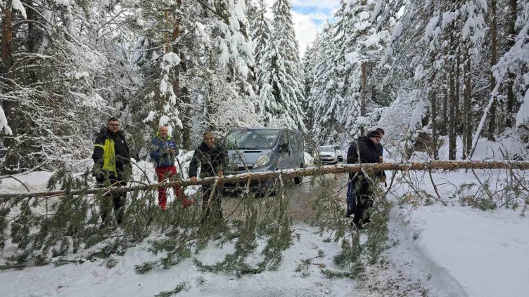 Снимка: БГНЕС