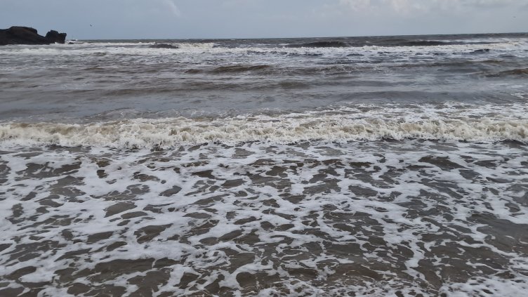 БГНЕС, архив