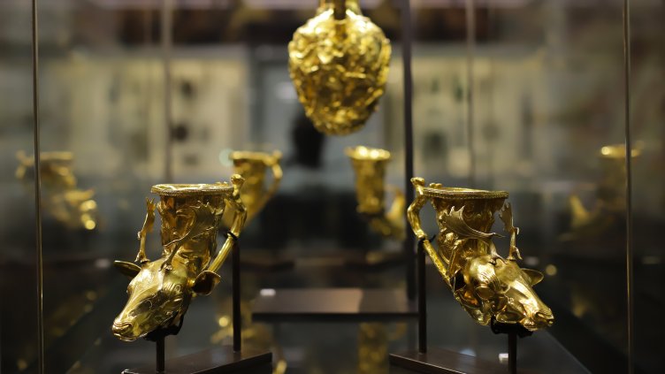 Снимка БГНЕС