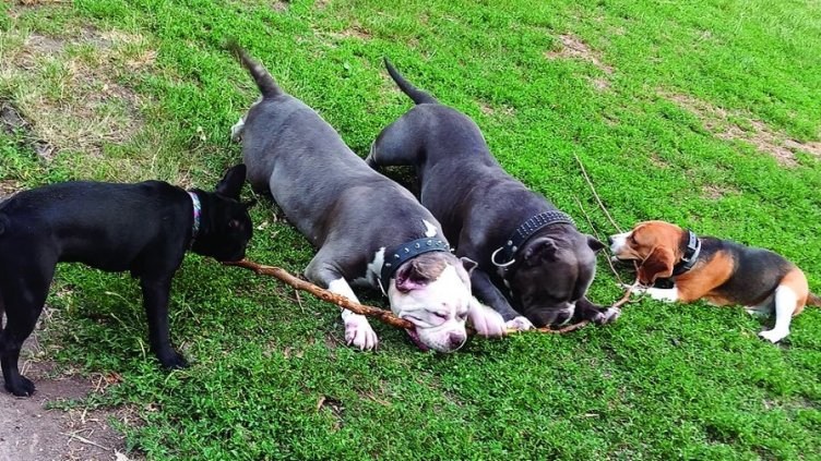 Снимка Пиксабей