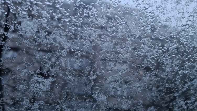 Снимка: архив, БГНЕС