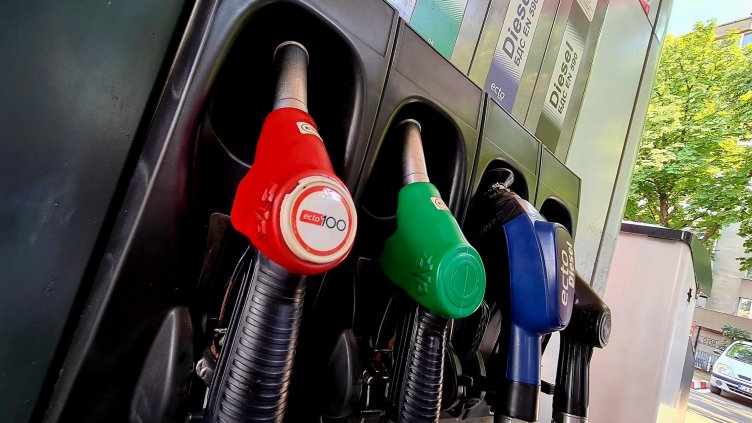 Снимка: архив, БГНЕС