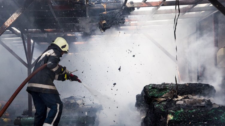 Снимка: архив, БГНЕС