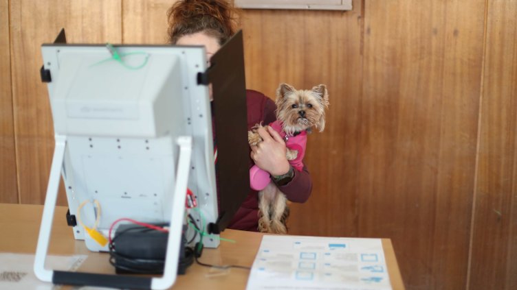 Снимка: Димитър Кьосемарлиев, Dnes.bg