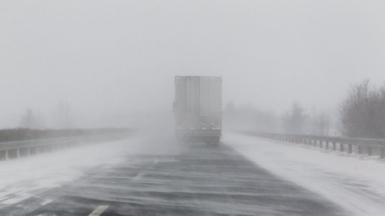 Снимка: архив, БГНЕС