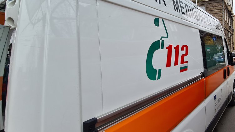 Снимка: архив, БГНЕС