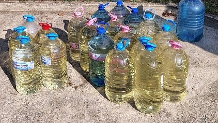 БГНЕС, архив