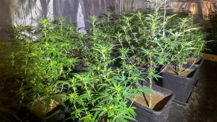 Снимка: архив, БГНЕС