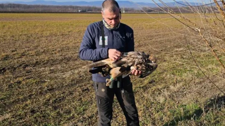 Снимка Спасителен център "Зелени Балкани".