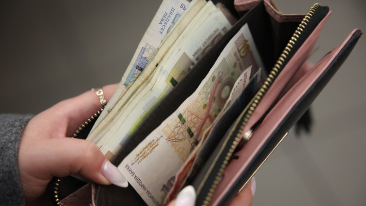 Снимка: архив, БГНЕС