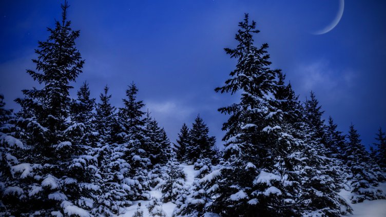 Снимка: iStock/pictureimpressions