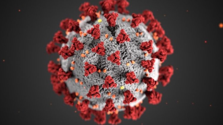 Снимка: архив, БГНЕС