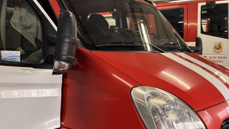 Снимка: архив, БГНЕС