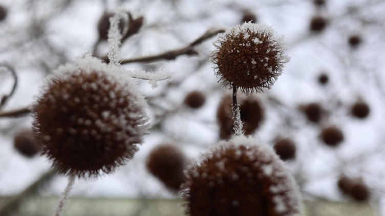 Снимка: БГНЕС/ EPA