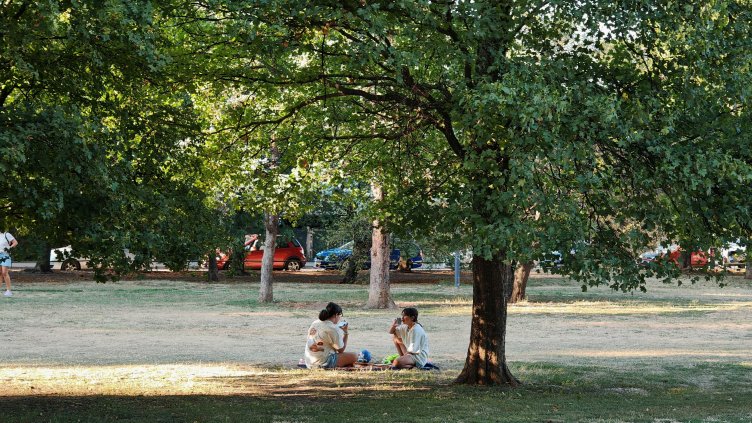 Снимка: БГНЕС