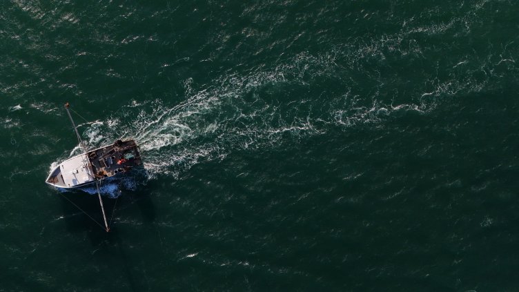 Снимка: архив, БГНЕС