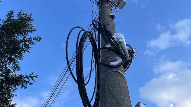 Снимка: архив, БГНЕС