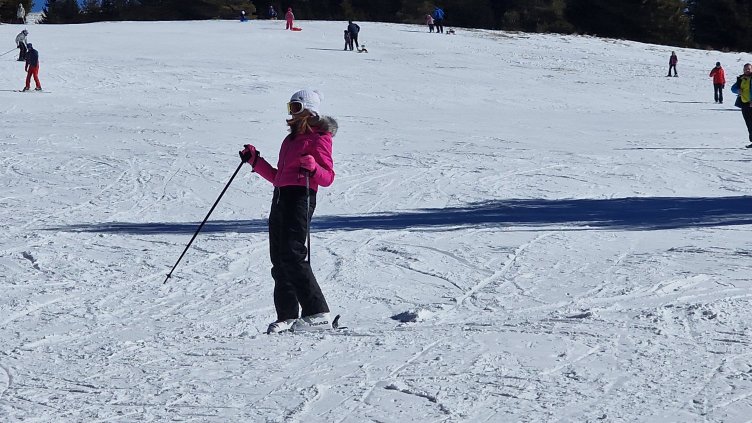 Снимка: архив, БГНЕС