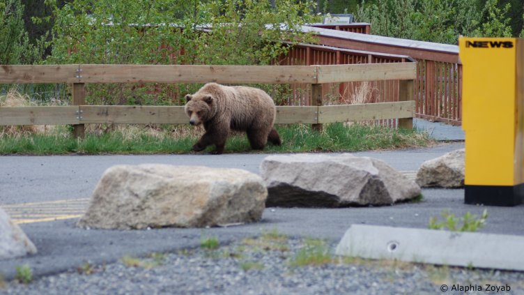 Снимка БГНЕС
