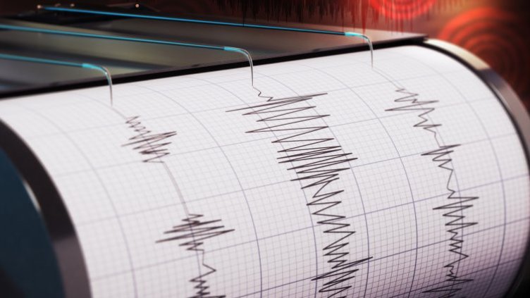 Снимка: IstockPhoto