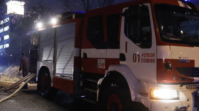 Снимка: архив, БГНЕС