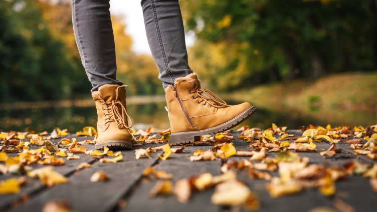 Снимка: iStock/Zbynek Pospisil