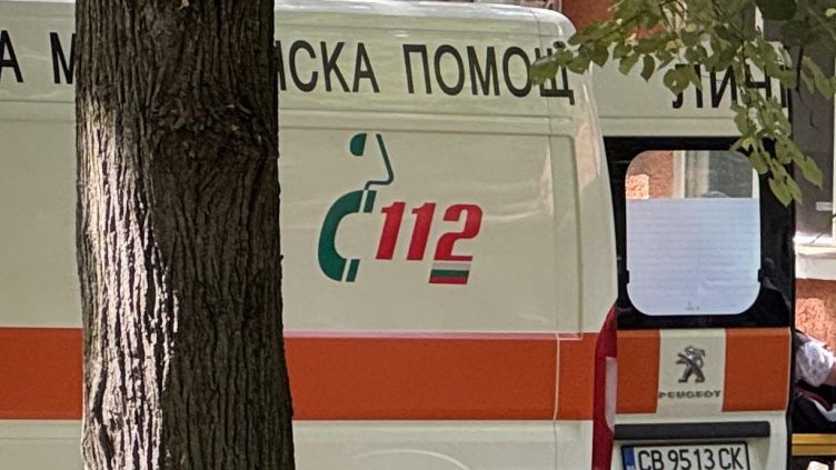 БГНЕС, архив