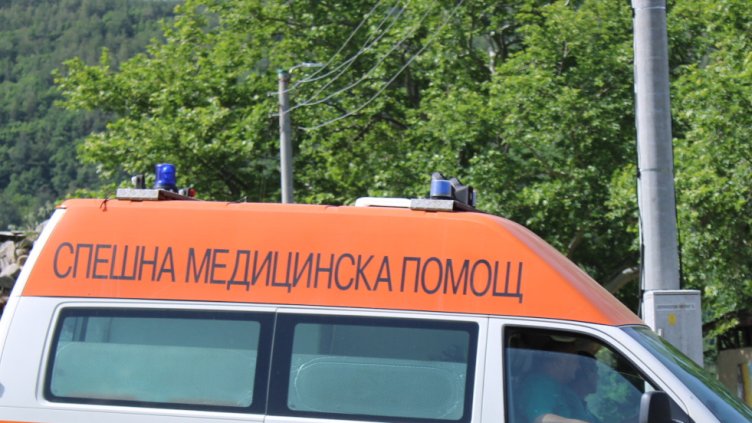 БГНЕС, архив