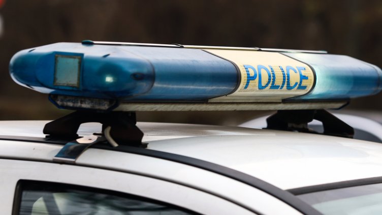 Снимка: архив, БГНЕС