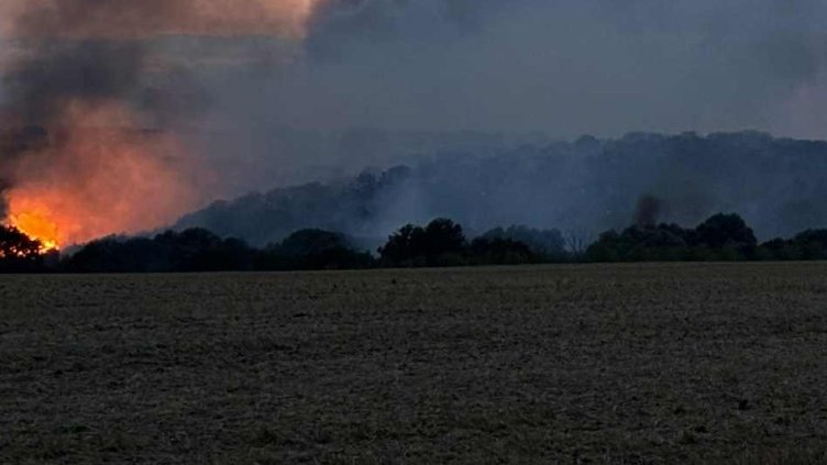 БГНЕС, архив