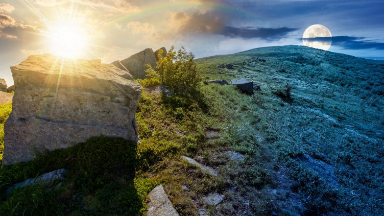 Снимка: istock