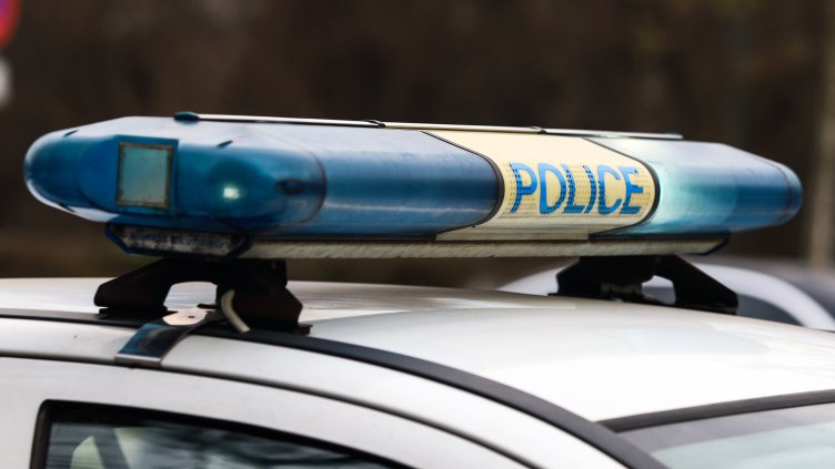 Снимка: архив, БГНЕС