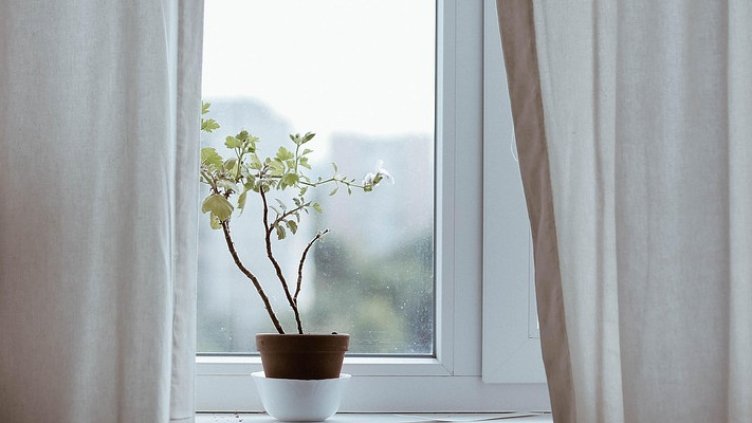 Снимка: Pixabay