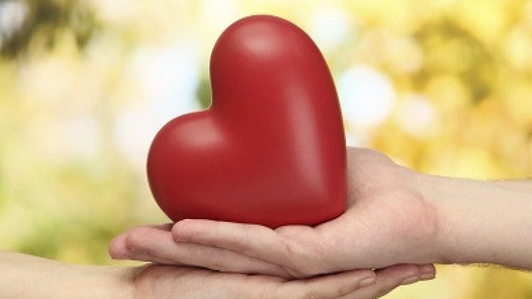 Капка солидарност, която спасява животи