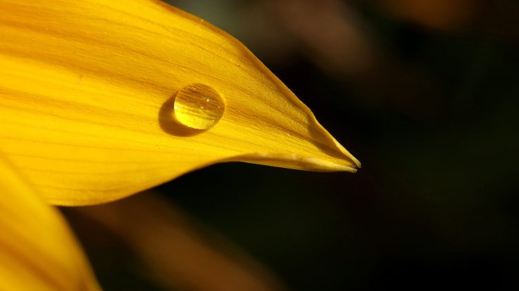 Снимка: архив, БГНЕС