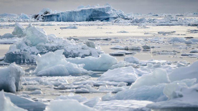 Снимка: архив, БГНЕС